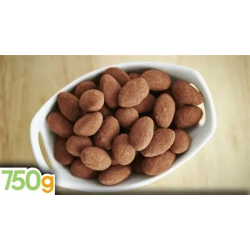 Gianduja (chocolat au
lait et pâte de noisette)